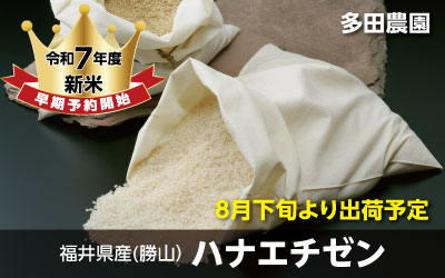 多田農園のハナエチゼン予約販売開始