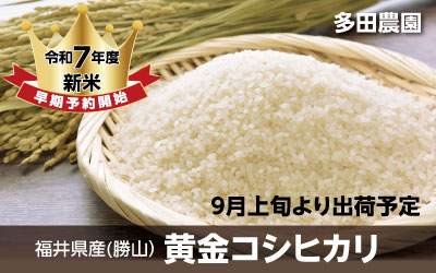 多田農園のこしひかり予約販売開始