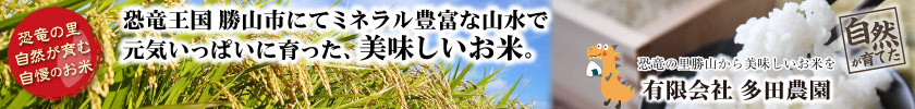 自然いっぱいもの福井県産お米