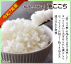夢ごこち