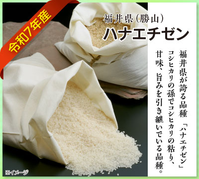 令和7年度産 ハナエチゼン