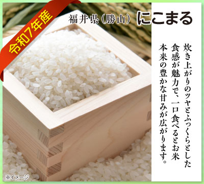令和7年度産 にこまる