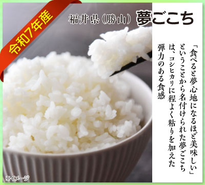 令和7年度産 夢ごこち