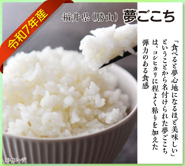 夢ごこち
